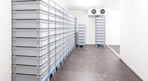 Chicken & Meat Cold Storage